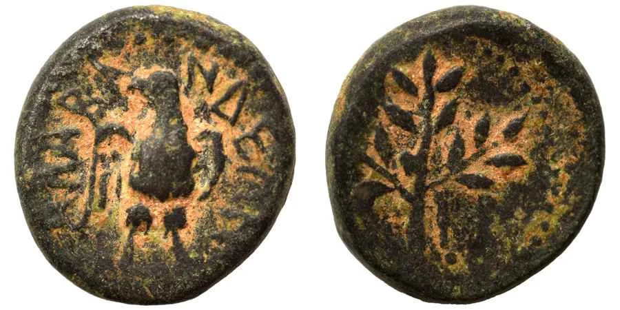 Agesilaos Antik Sikkeler Nümizmatik-ALABA (4).webp