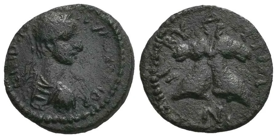 Agesilaos Antik Sikkeler Nümizmatik_ABYD (18).webp