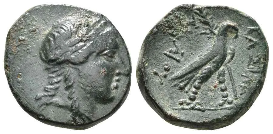 Agesilaos Antik Sikkeler Nümizmatik_ABYD (4).webp