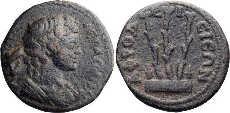 Agesilaos Antik Sikkeler Nümizmatik_AFRODIS (16).webp