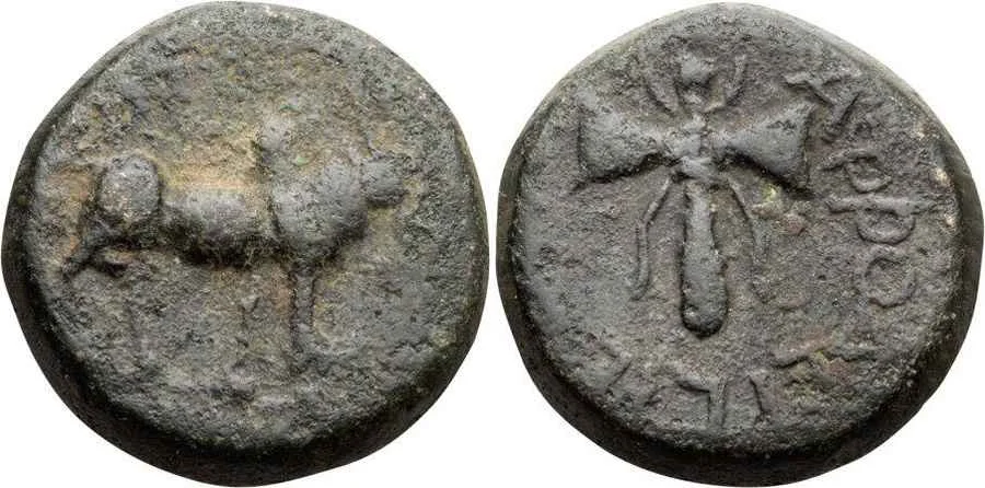 Agesilaos Antik Sikkeler Nümizmatik_AFRODIS (7).webp