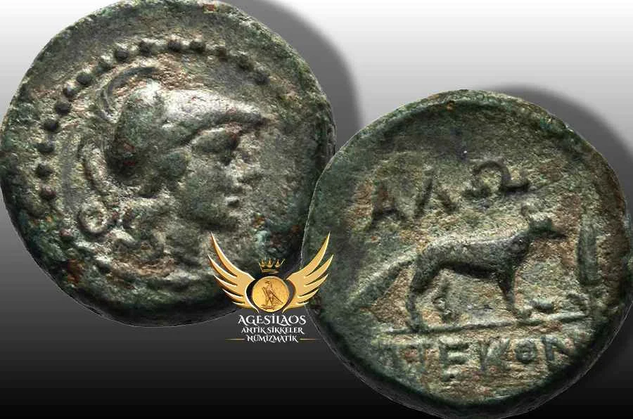 Agesilaos Antik Sikkeler Nümizmatik_AL.webp