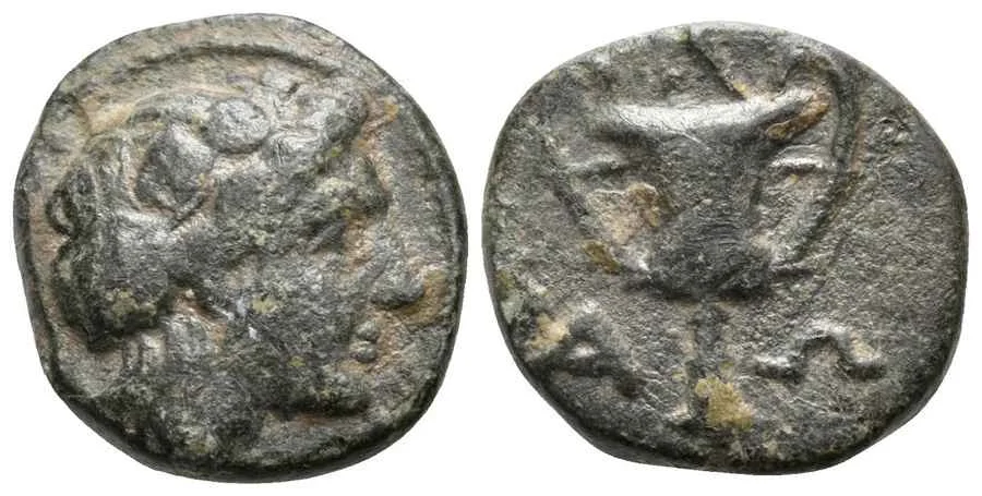 Agesilaos Antik Sikkeler Nümizmatik_alop (15).webp