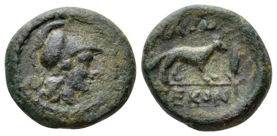 Agesilaos Antik Sikkeler Nümizmatik_alop (2).webp