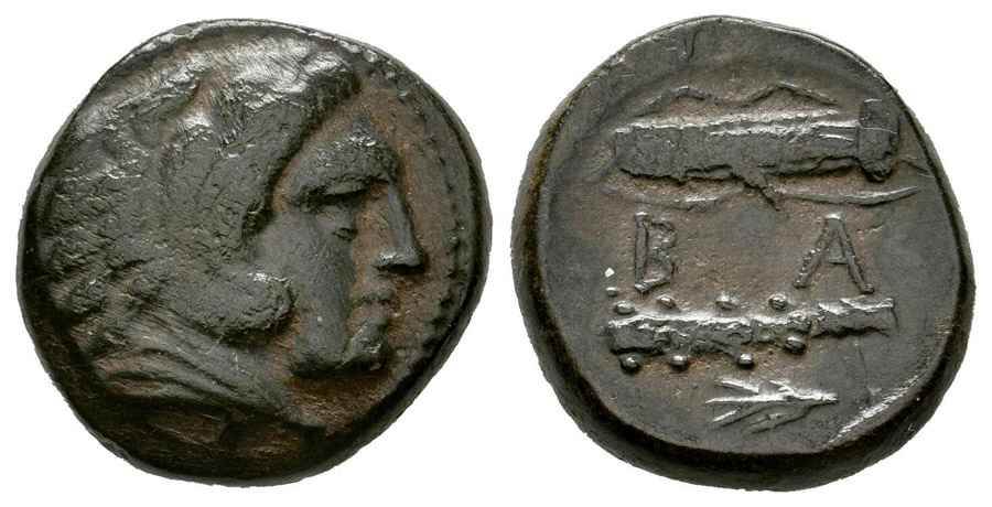 Agesilaos Antik Sikkeler Nümizmatik_ALX_III (3).jpg