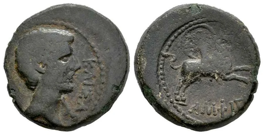 Agesilaos Antik Sikkeler Nümizmatik_amf (9).webp