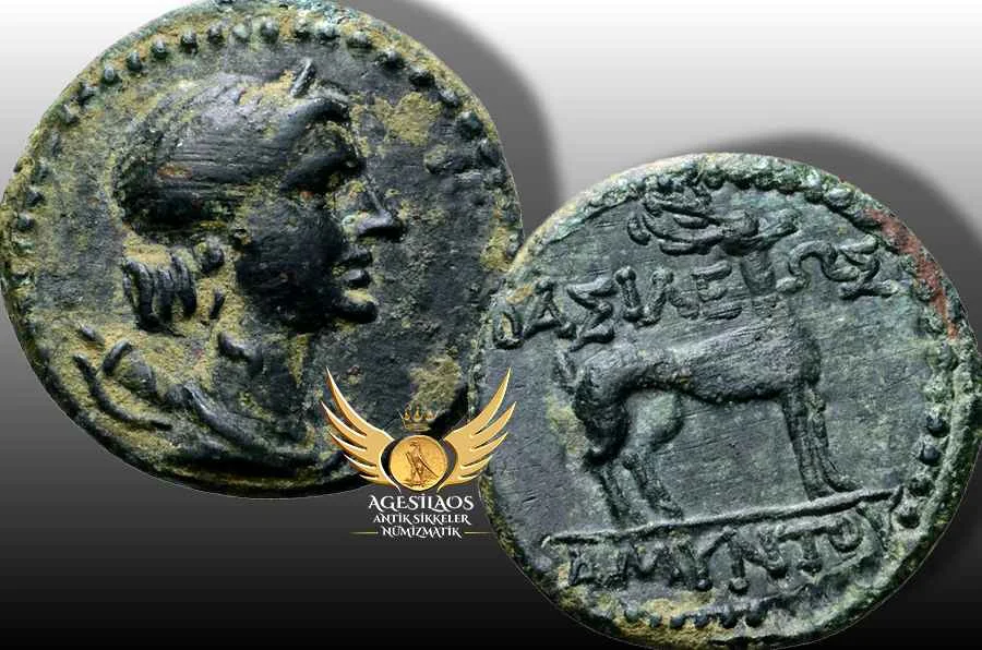  Agesilaos Antik Sikkeler Nümizmatik_amyn (2).webp