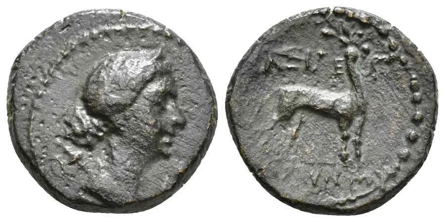 Agesilaos Antik Sikkeler Nümizmatik_AMYNTS (18).webp