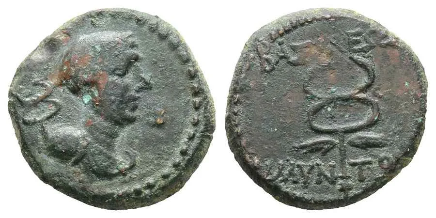 Agesilaos Antik Sikkeler Nümizmatik_AMYNTS (23).webp