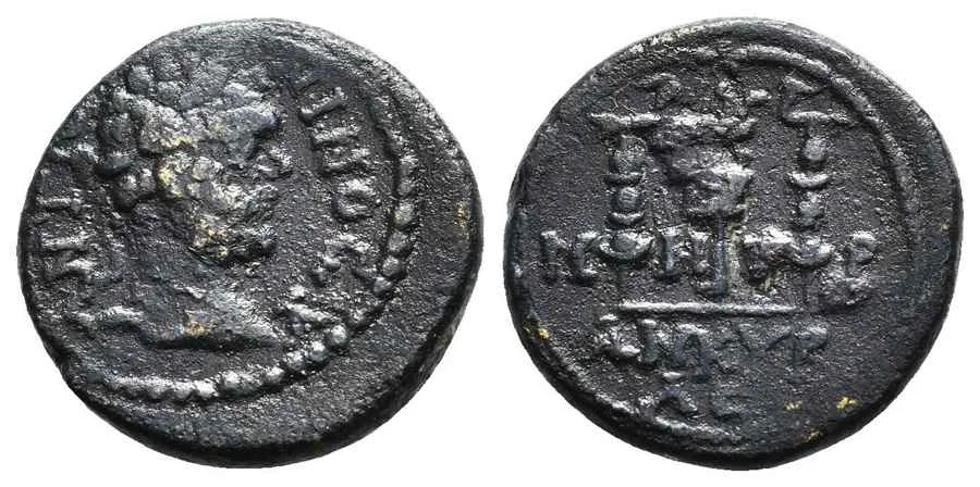 Agesilaos Antik Sikkeler Nümizmatik_ANK (4).webp