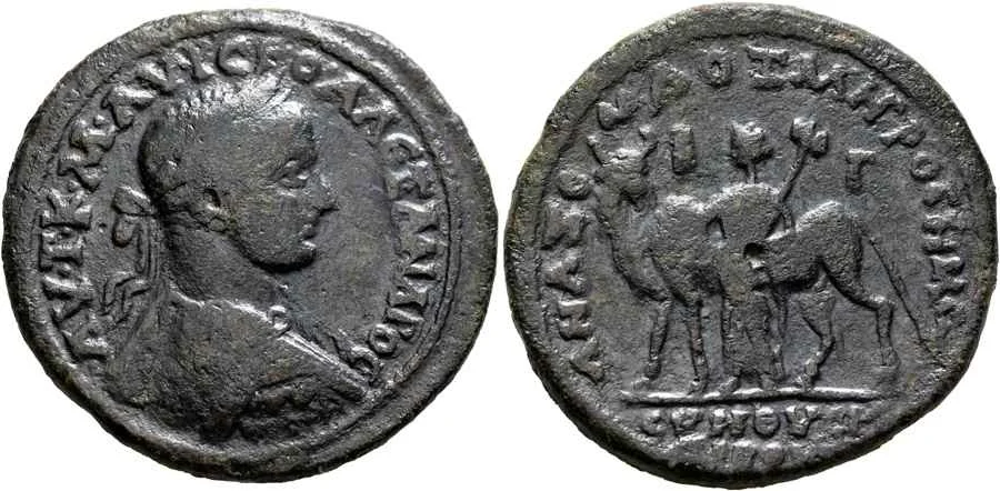 Agesilaos Antik Sikkeler Nümizmatik_ANZ (11).webp