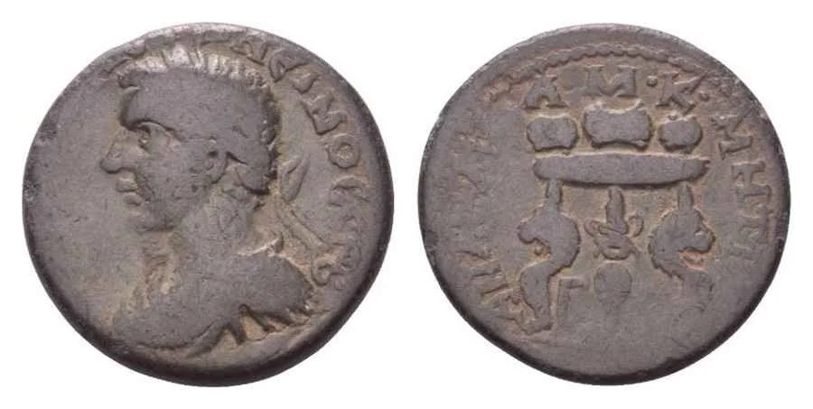 Agesilaos Antik Sikkeler Nümizmatik_ANZ (18).webp