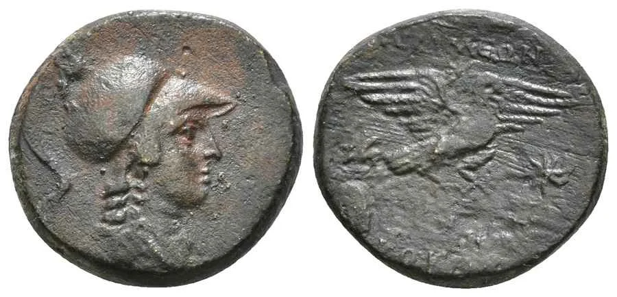 Agesilaos Antik Sikkeler Nümizmatik_APM (12).webp