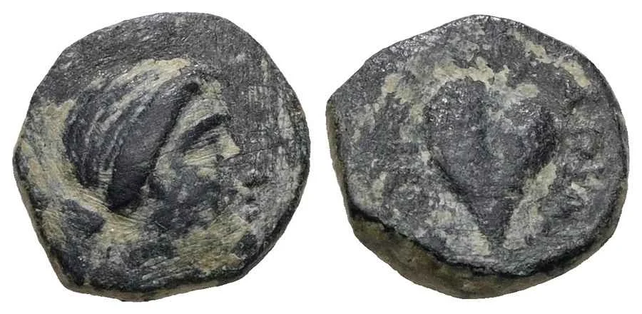Agesilaos Antik Sikkeler Nümizmatik_AR_III (11).webp