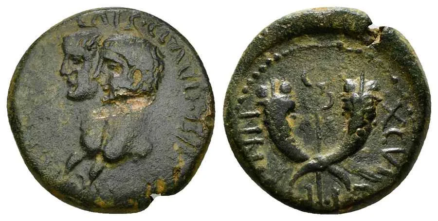 Agesilaos Antik Sikkeler Nümizmatik_BRIT (1).webp