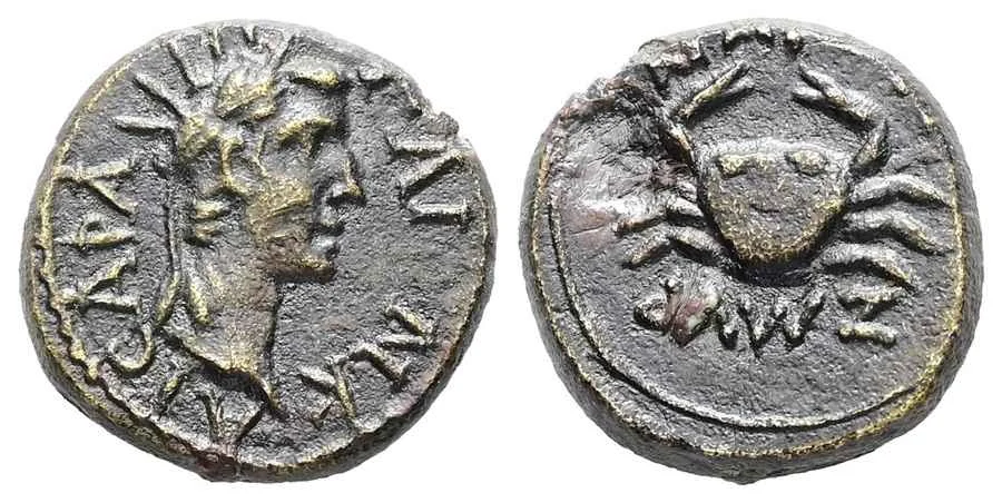 Agesilaos Antik Sikkeler Nümizmatik_GAIVS (4).webp