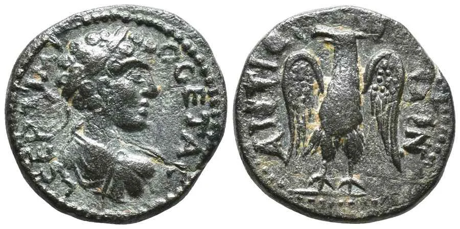 Agesilaos Antik Sikkeler Nümizmatik_GET (8).webp