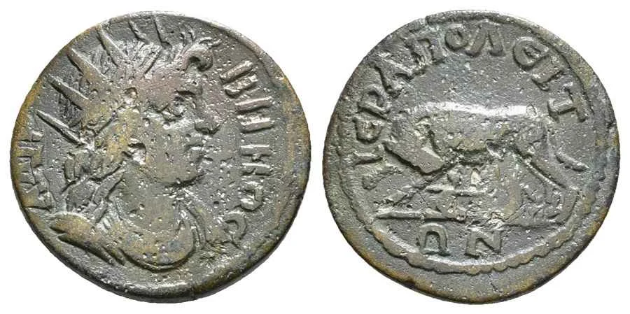 Agesilaos Antik Sikkeler Nümizmatik_IERA (22).webp