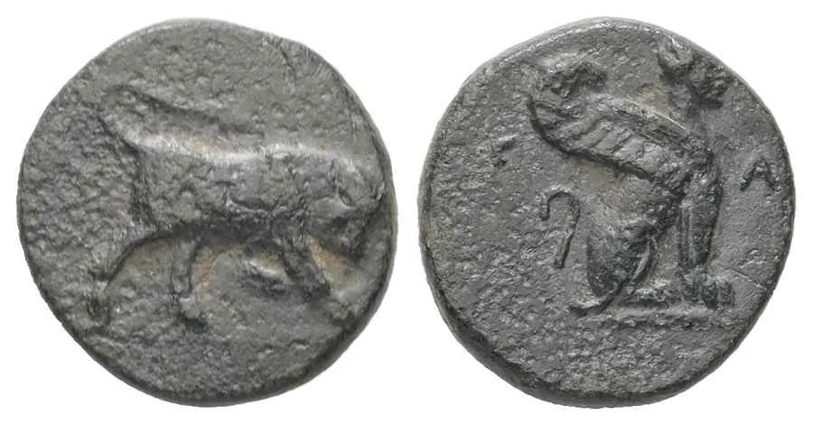 Agesilaos Antik Sikkeler Nümizmatik_KAVNOS (12).webp