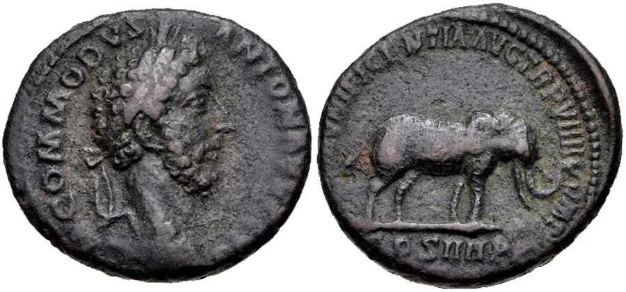 Agesilaos Antik Sikkeler Nümizmatik_KMD (1).webp