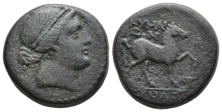 Agesilaos Antik Sikkeler Nümizmatik_KY (7).webp