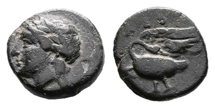 Agesilaos Antik Sikkeler Nümizmatik_LEY (2).webp