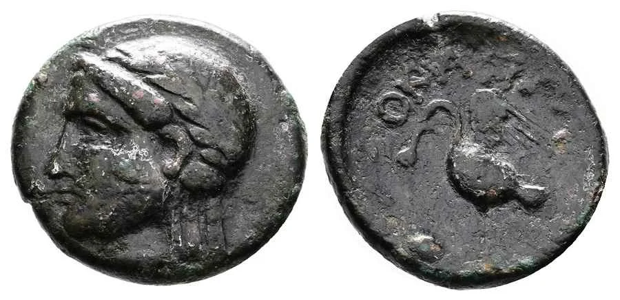 Agesilaos Antik Sikkeler Nümizmatik_LEY (4).webp