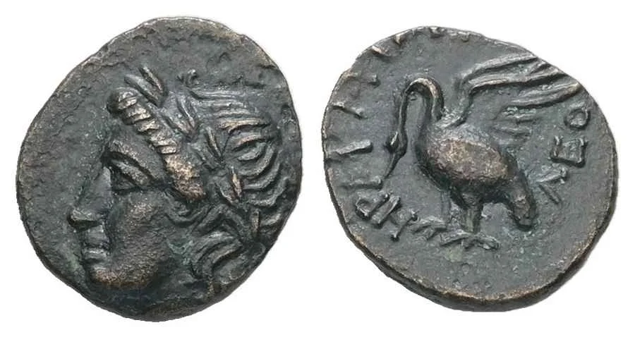 Agesilaos Antik Sikkeler Nümizmatik_LEY (5).webp