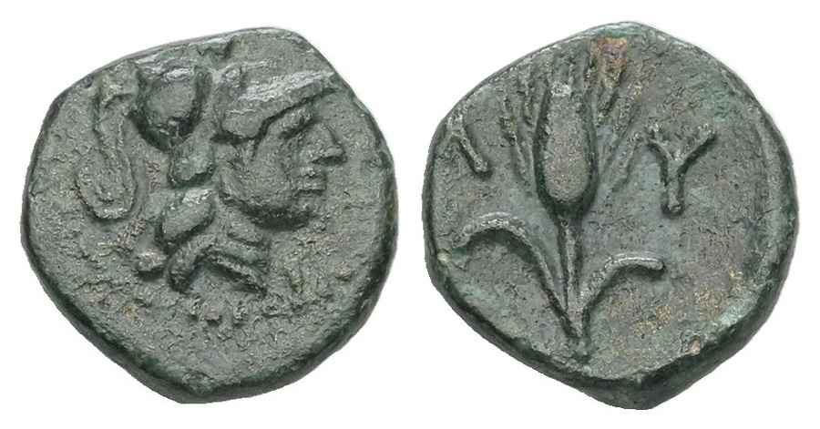 Agesilaos Antik Sikkeler Nümizmatik_LYSC (6).jpg