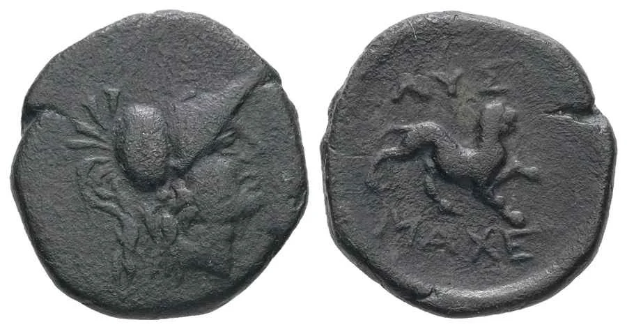 Agesilaos Antik Sikkeler Nümizmatik_LYSM (14).webp