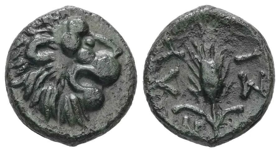 Agesilaos Antik Sikkeler Nümizmatik_LYSM (15).webp