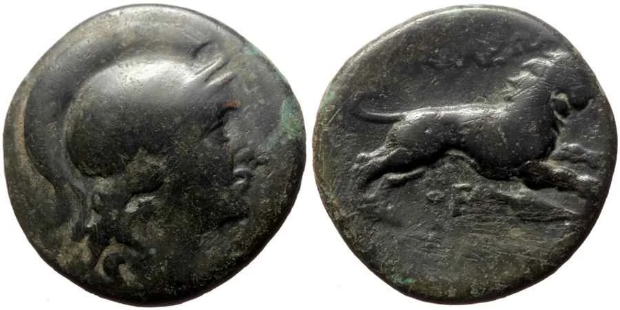 Agesilaos Antik Sikkeler Nümizmatik_LYSM (8).webp