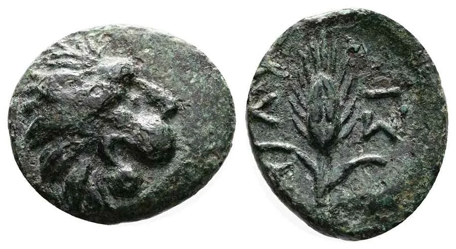 Agesilaos Antik Sikkeler Nümizmatik_LYSM (9).webp