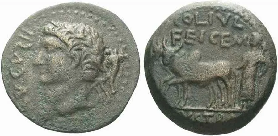 Agesilaos Antik Sikkeler Nümizmatik_LYST (22).webp