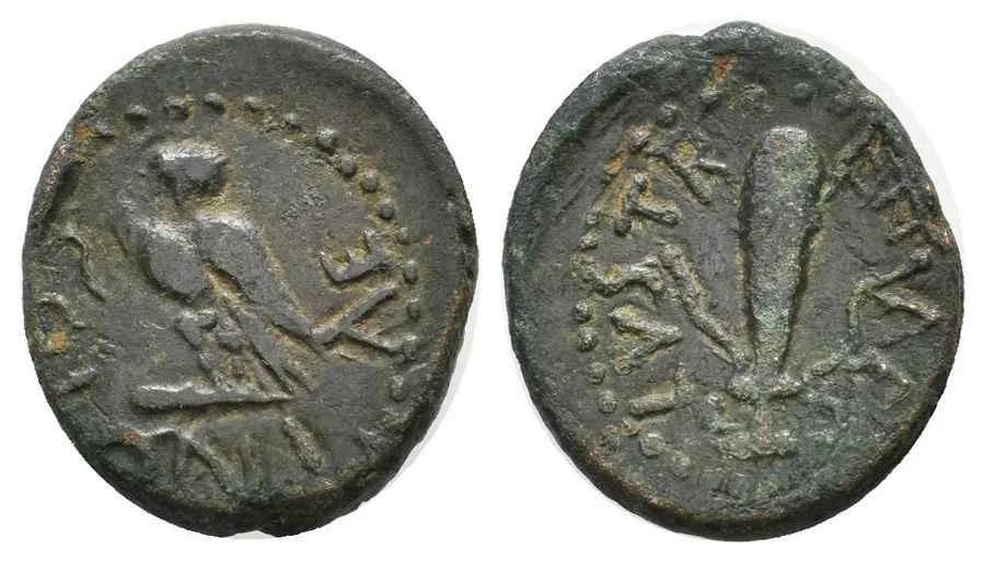 Agesilaos Antik Sikkeler Nümizmatik_LYST (6).webp