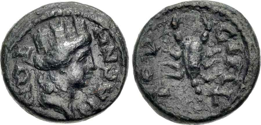 Agesilaos Antik Sikkeler Nümizmatik_MAG (7).jpg