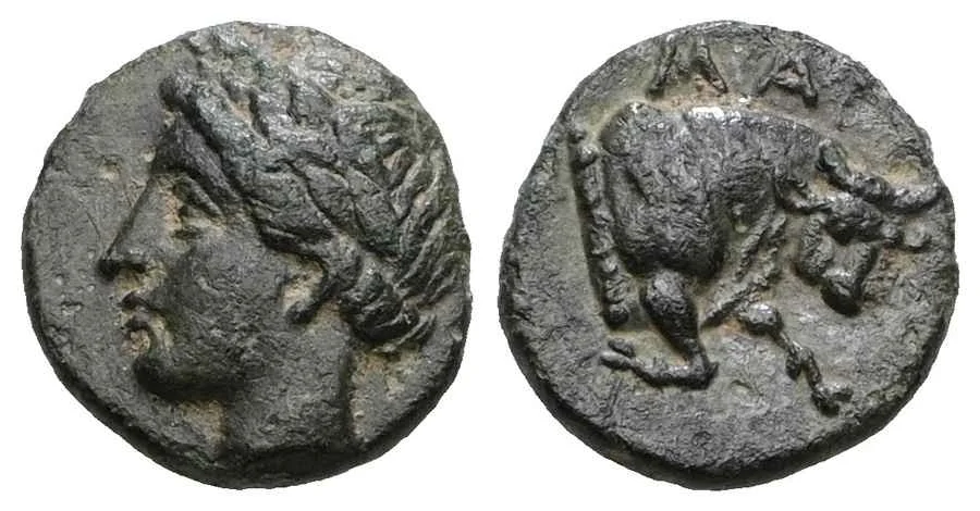 Agesilaos Antik Sikkeler Nümizmatik_MGN (10).webp