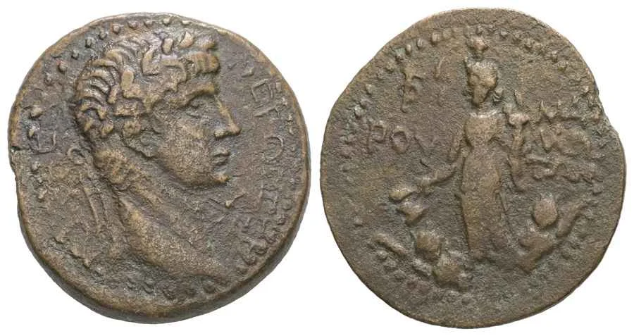 Agesilaos Antik Sikkeler Nümizmatik_MLLS (19).webp