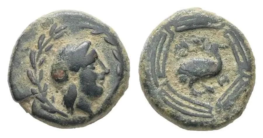  Agesilaos Antik Sikkeler Nümizmatik_MYO (3).webp