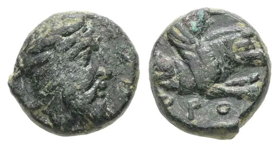 Agesilaos Antik Sikkeler Nümizmatik_OR (2).webp