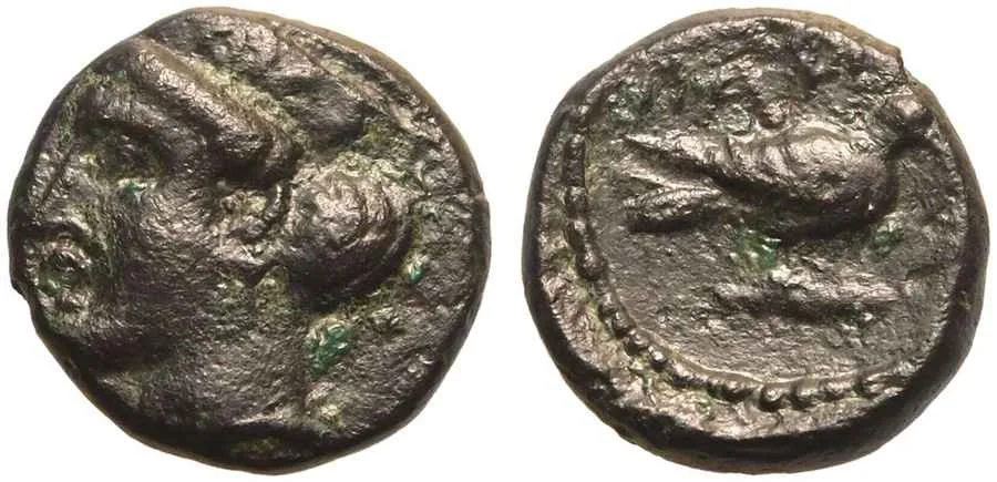 Agesilaos Antik Sikkeler Nümizmatik_PAPH (8).webp