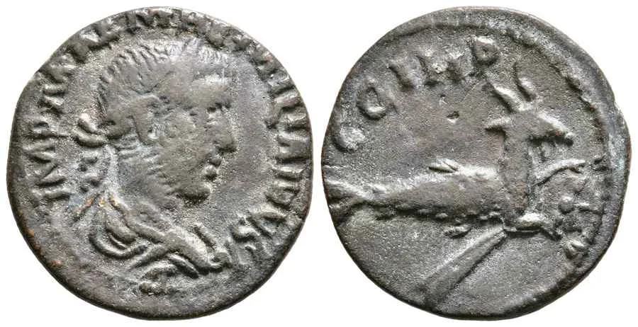 Agesilaos Antik Sikkeler Nümizmatik_Parion (16).webp