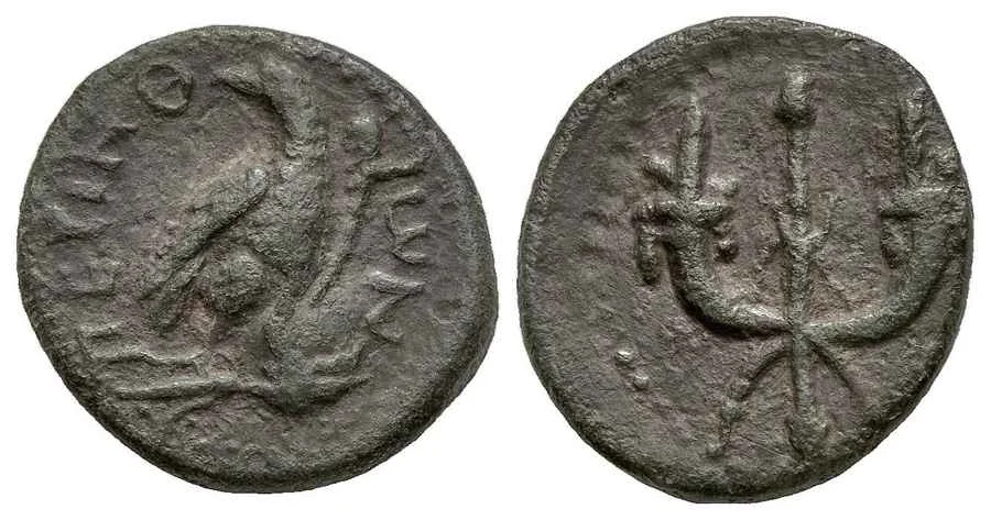 Agesilaos Antik Sikkeler Nümizmatik_PERNTH (16).webp