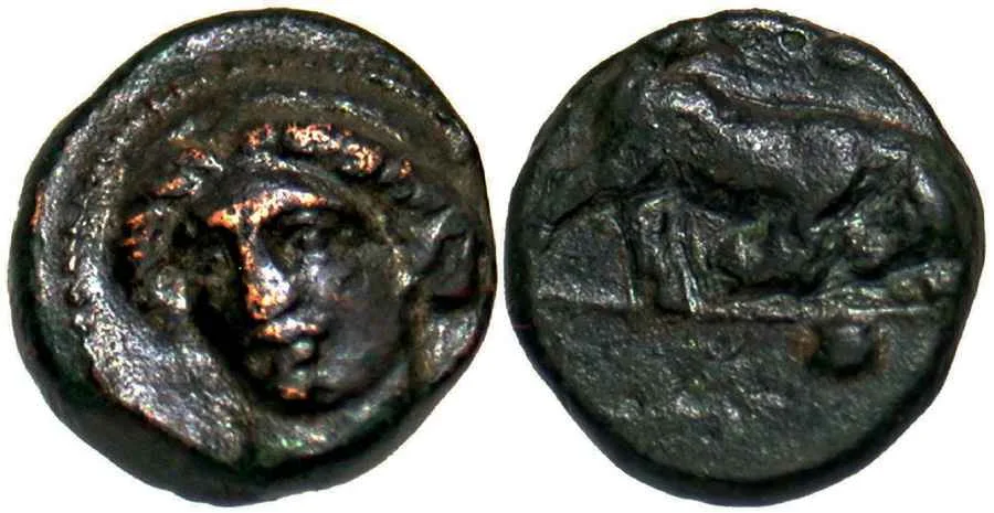 Agesilaos Antik Sikkeler Nümizmatik_PHYG (2).webp