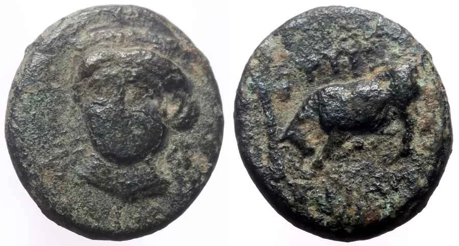 Agesilaos Antik Sikkeler Nümizmatik_PHYG (6).webp