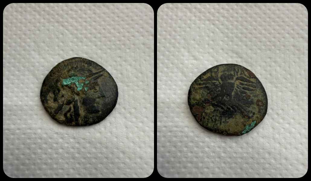 Agesilaos Antik Sikkeler Nümizmatik_PRG (3).jpg