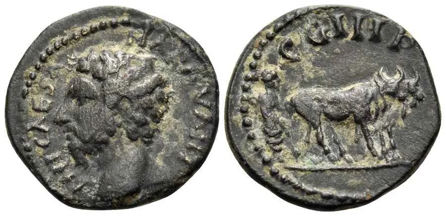 Agesilaos Antik Sikkeler Nümizmatik_PRM (3).webp