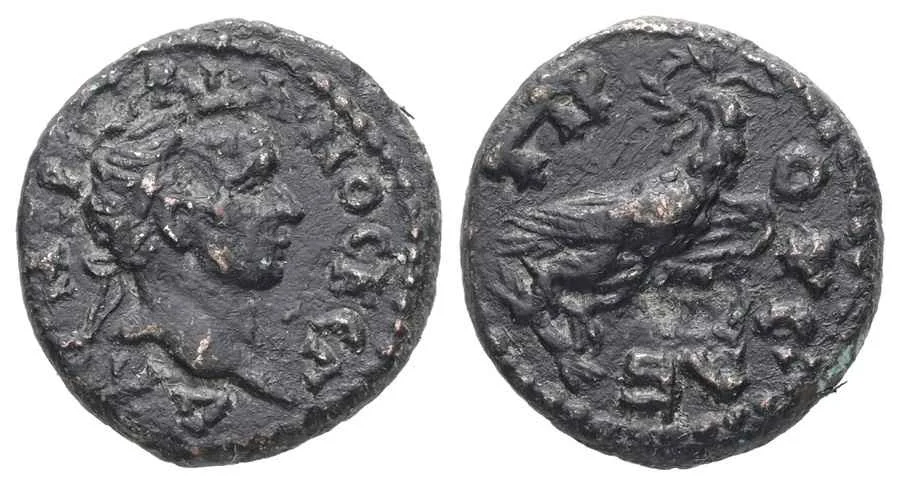 Agesilaos Antik Sikkeler Nümizmatik_PRUSA (2).webp