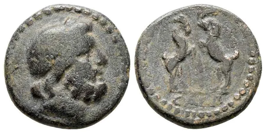 Agesilaos Antik Sikkeler Nümizmatik_Sagalassos Antik Kenti Sikkeleri (3).webp