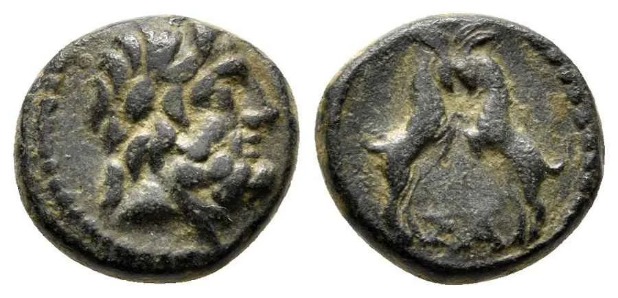 Agesilaos Antik Sikkeler Nümizmatik_Sagalassos Antik Kenti Sikkeleri (7).webp